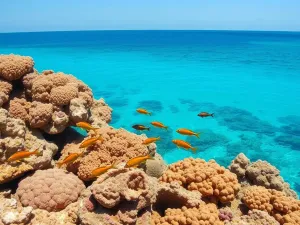 Co przywieźć z Meksyku? Najlepsze pamiątki i smakołyki do zabrania