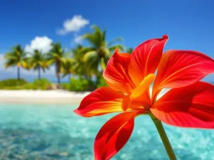 Zasady gry w darta – jak grać i co warto wiedzieć?